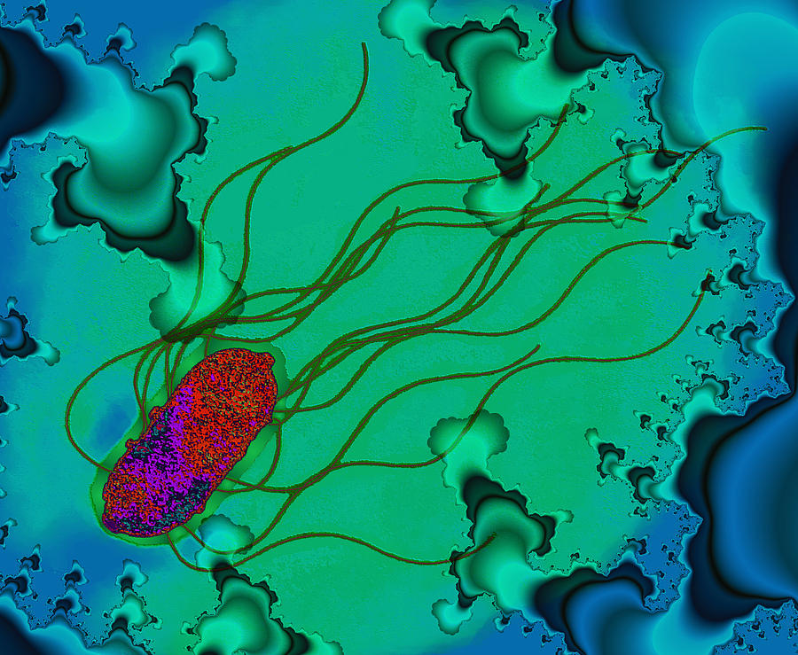 Salmonella Bacterium Photograph By Dr Linda Stannard Uct Pixels