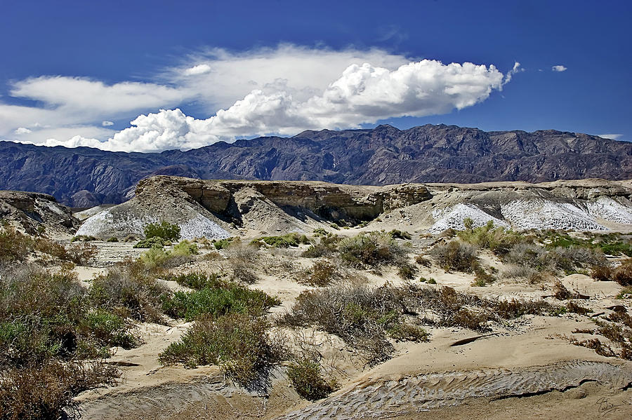 Salt Creek In Death Valley Photograph by Endre Balogh