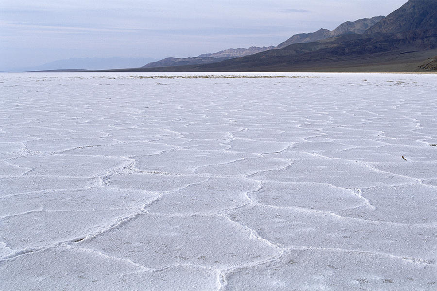 Salt Flats At Badwater With Polygon Photograph by Konrad Wothe