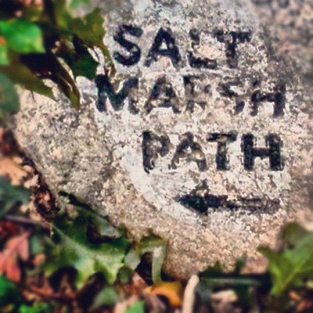 Salt Marsh Path Photograph by John Griffin