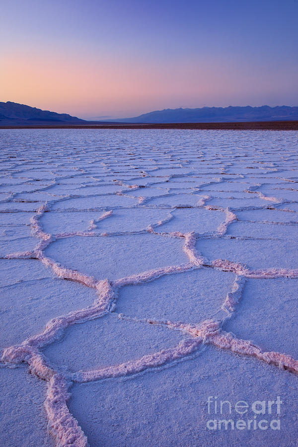 Salt Polygons Death Valley Photograph by Brian Jannsen