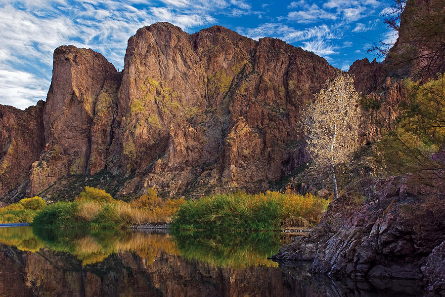 Salt River Reflections Photograph by Dave Dilli