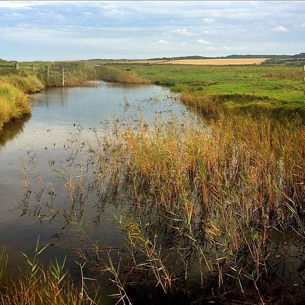 Cool Photograph - Salthouse Marshes #iphoneography by Dave Lee