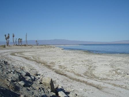 View Salton Sea Beach Gif