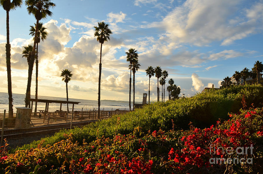 San Clemente Evening Photograph by Timothy OLeary