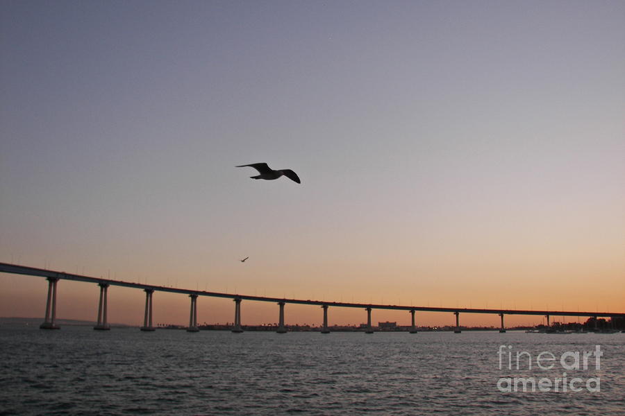 San Diego Bay Sunset Photograph by Carol  Bradley