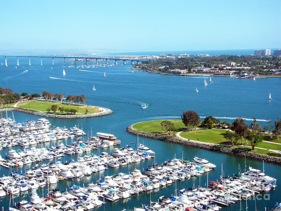 San Diego Marina and Bay Photograph by Cedric Hampton