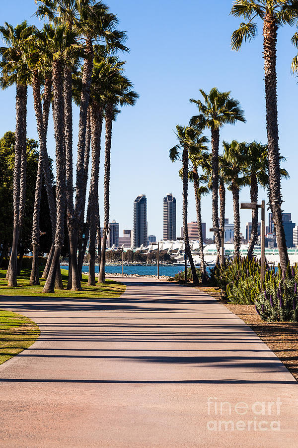 San Diego Skyline With Coronado Island Bayshore Bikeway Photograph