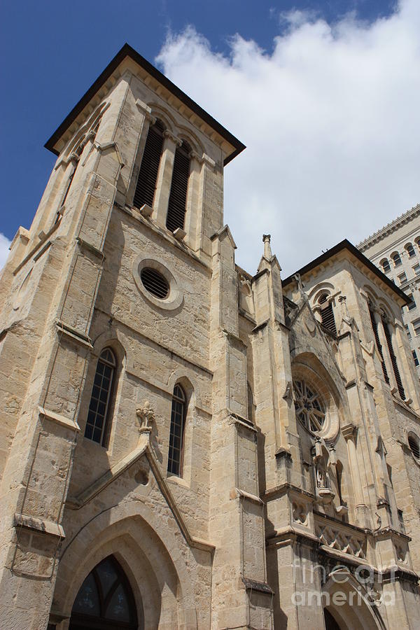 San Antonio Photograph - San Fernando Cathedral by Carol Groenen