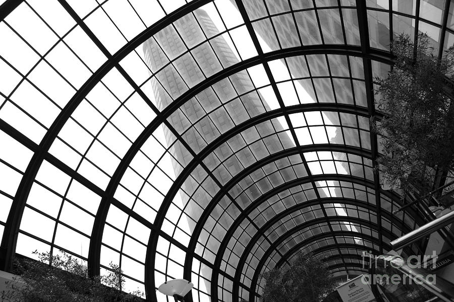 San Francisco Crocker Galleria - 5D17869 - black and white Photograph by Wingsdomain Art and Photography