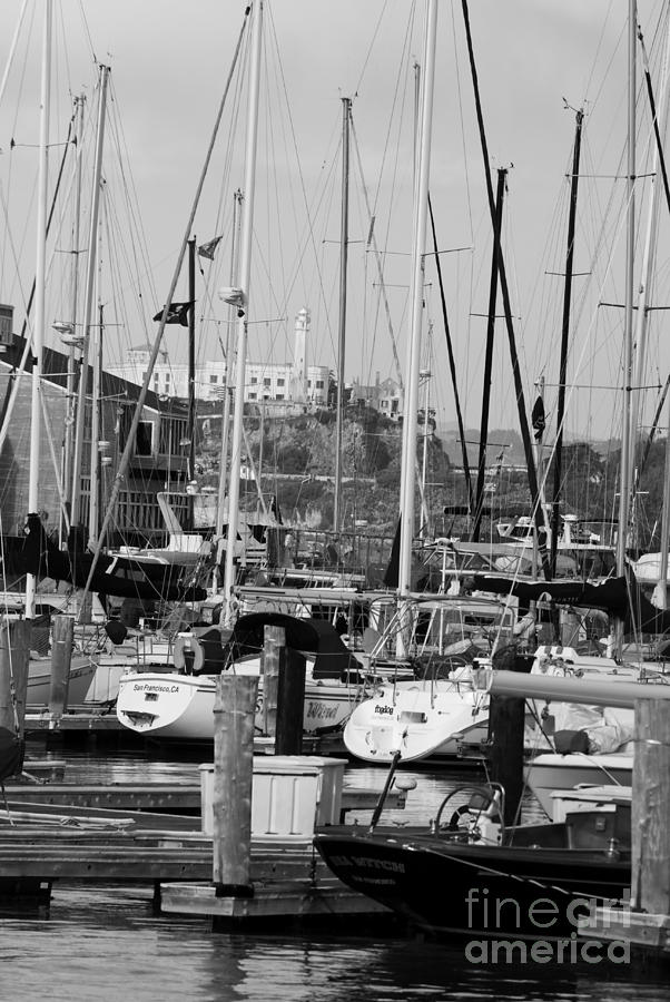San Francisco dock Photograph by Jim And Emily Bush