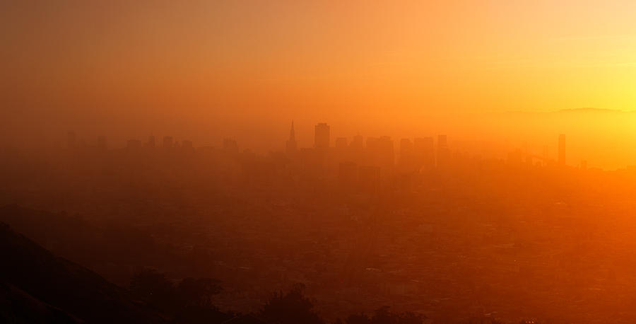 San Francisco Golden Fogged Sunrise Photograph by Grant Groberg