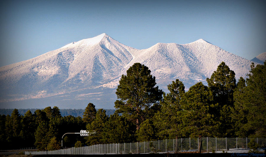 San Francisco Peaks Covered in Snow Photograph by Aaron Burrows