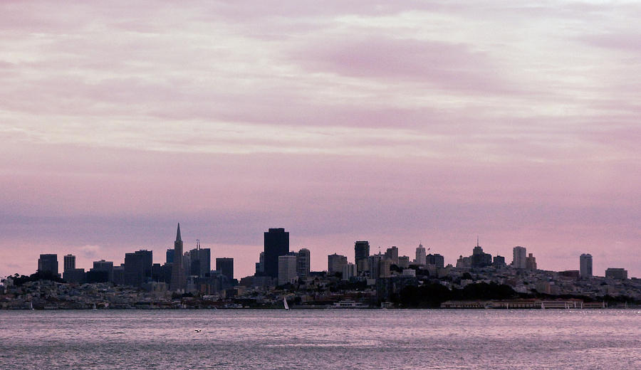 San Francisco Skyline Photograph by Lynn Bolt