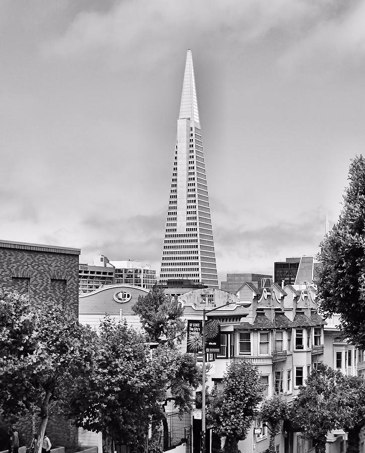 San Francisco Skyscraper Photograph by Jenny Hudson