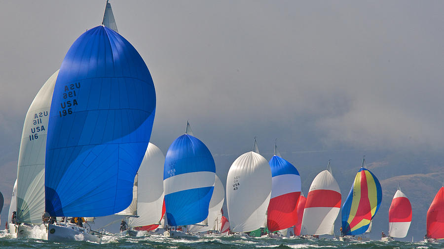 San Francisco Spinnakers Photograph by Steven Lapkin