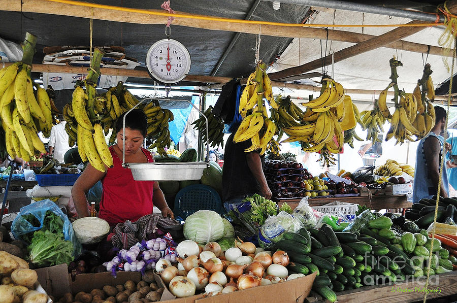 Fruit Photograph - San Ignacio Saturday market by Li Newton