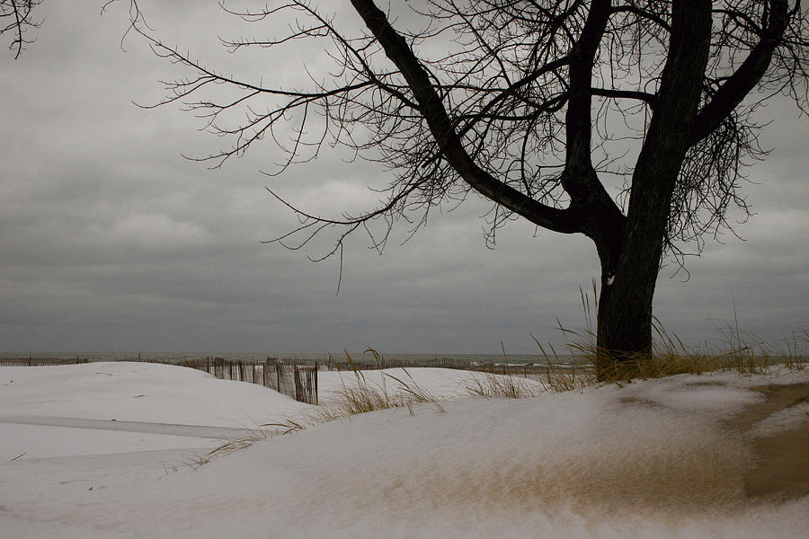 Sand And Snow Photograph by Richard Gregurich
