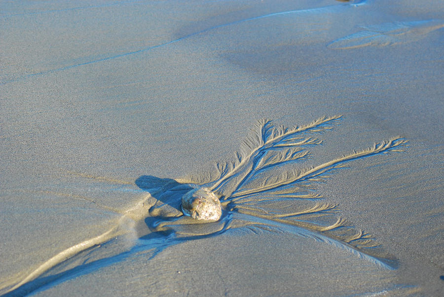 Sand Art Photograph by Wanda Jesfield