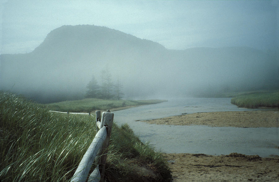Sand Beach Fog Photograph by Brent L Ander