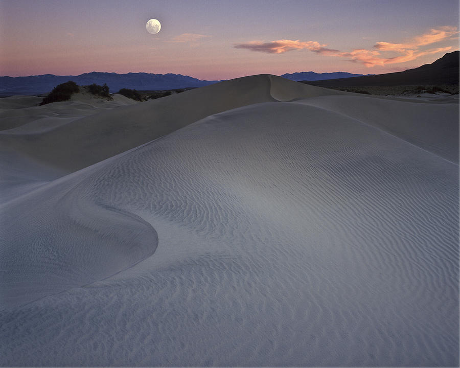 Sand Dune and Moon Death Valley Photograph by Joe  Palermo
