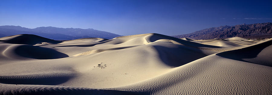 Sand Dune Photograph by Joe  Palermo