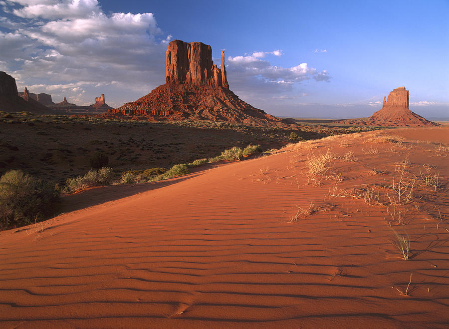 Sand Dunes And The Mittens Monument Photograph by Tim Fitzharris