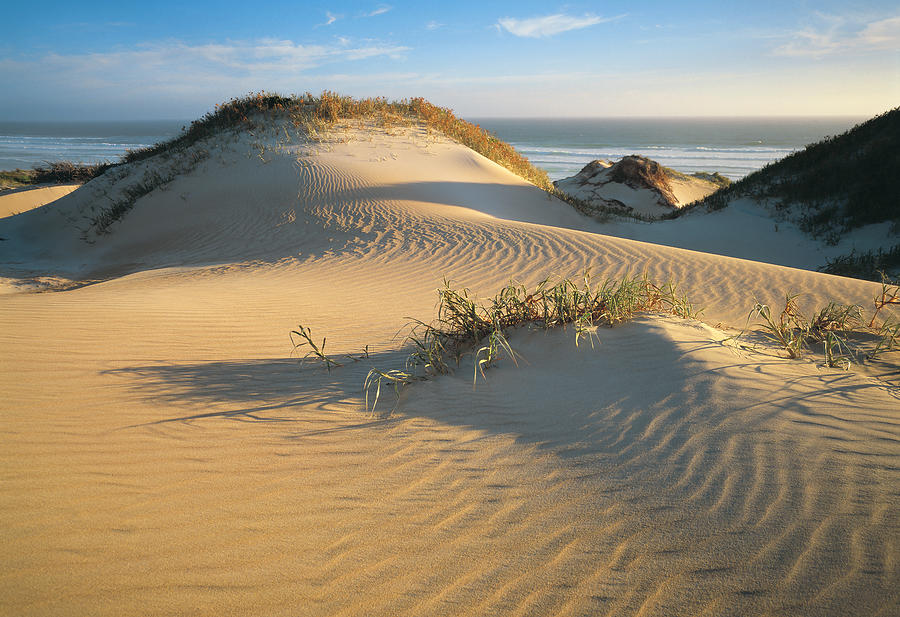 Sand Dunes At Gunyah Beach In Coffin Bay National Park, Eyre Peninsula ...