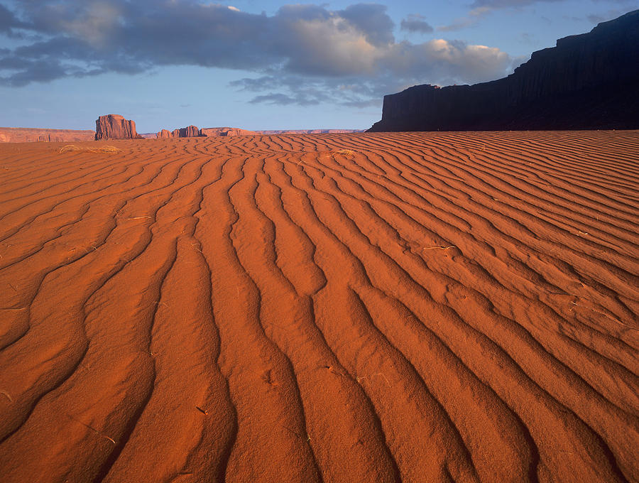Sand Dunes At Monument Valley Navajo Photograph by Tim Fitzharris