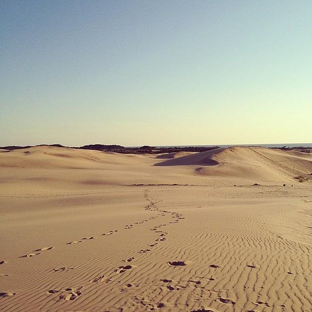 Sand Dunes! Photograph by Connor Wyckoff