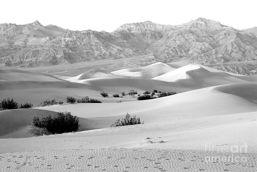 Sand Dunes Death Valley California Usa Photograph