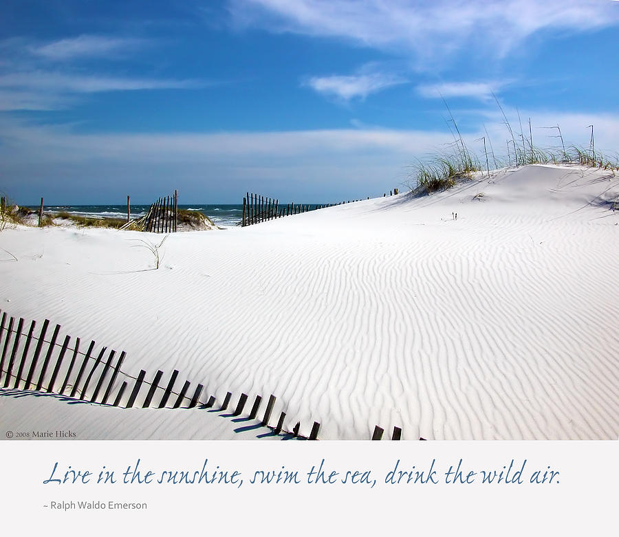 Summer Photograph - Sand Dunes Dream 3 by Marie Hicks