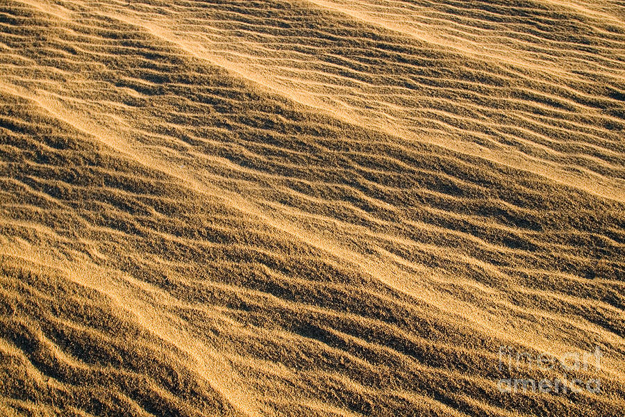 Sand Dunes Photograph by ELITE IMAGE photography By Chad McDermott
