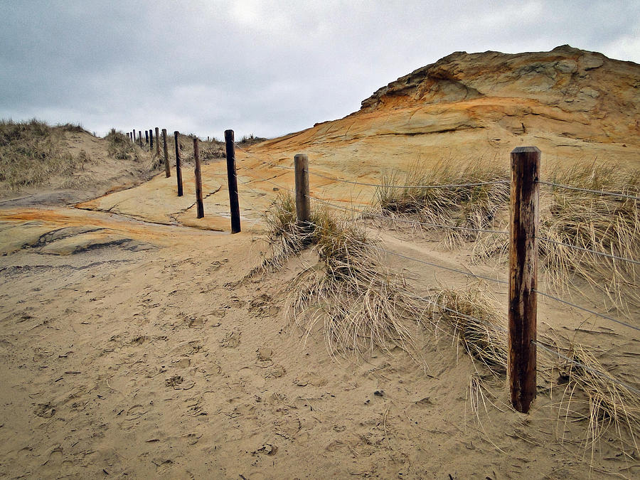 Sand Dunes Fence Line Photograph by Athena Mckinzie - Pixels