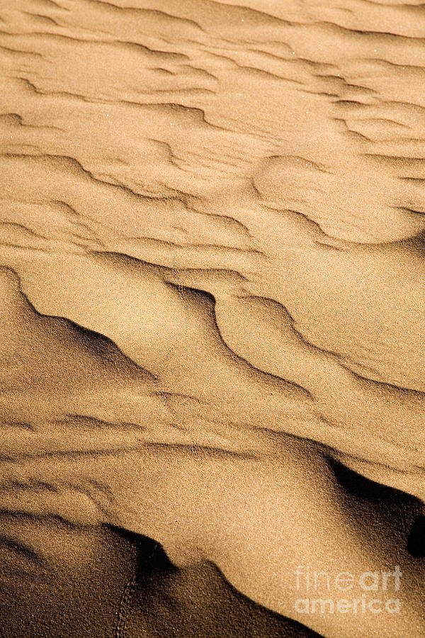 Sand dunes Photograph by Kati Finell
