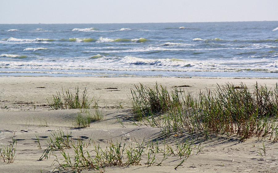 Sand Dunes Photograph by Paulette Thomas | Fine Art America