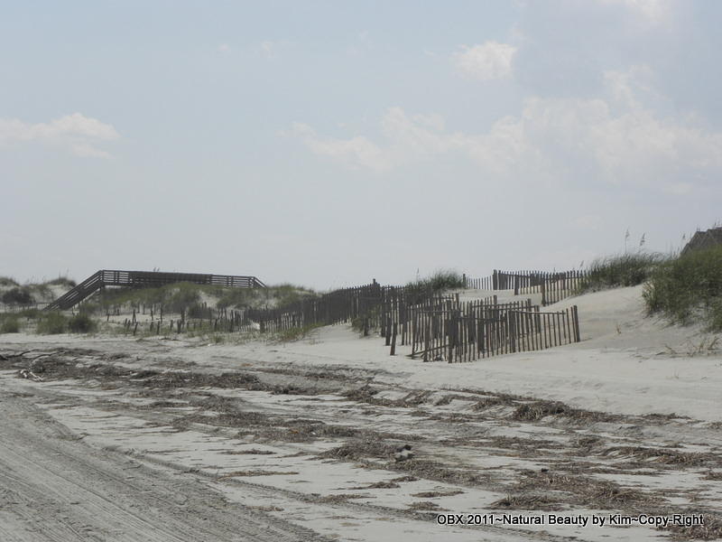 Sand Dunes with fencing Photograph by Kim Galluzzo
