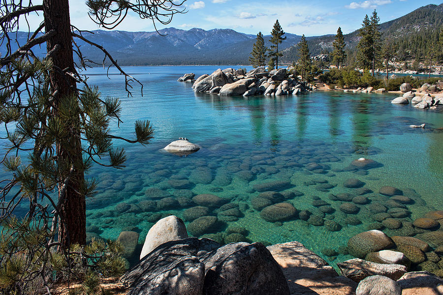 Sand Harbor Cove Photograph by Randy Wehner