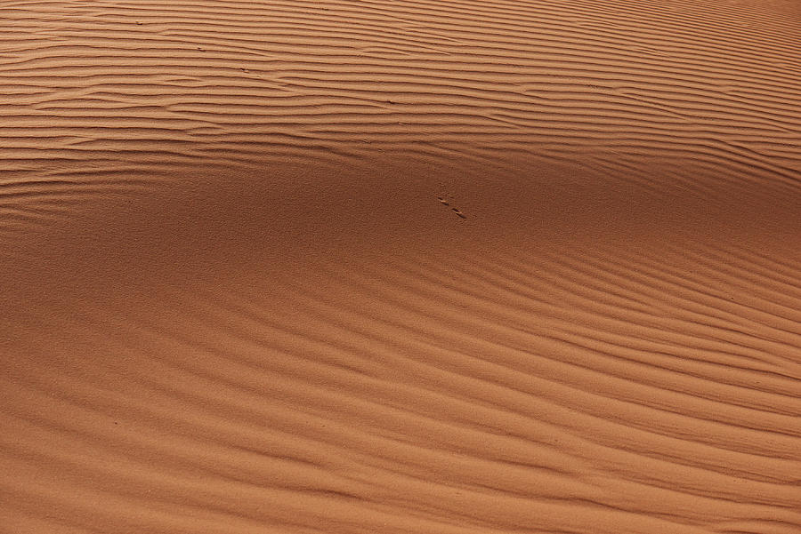 Sand Photograph by Ivan Slosar