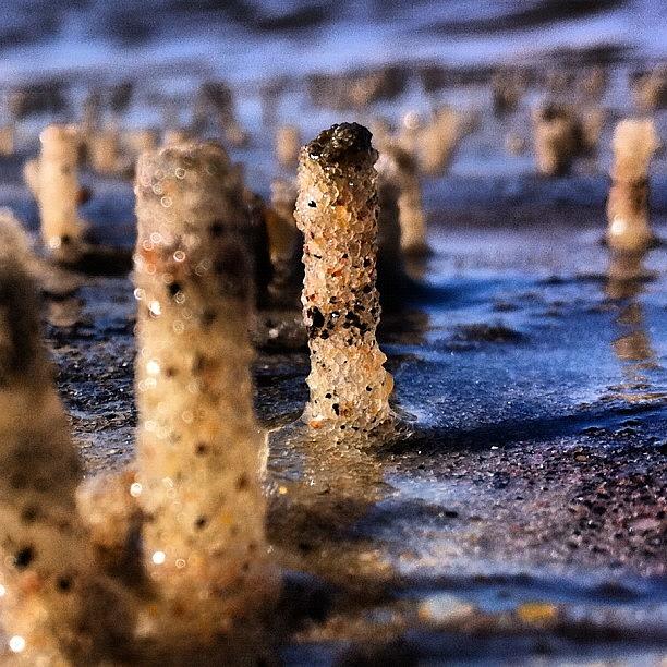 Nature Photograph - Sand by Jason Gurtman