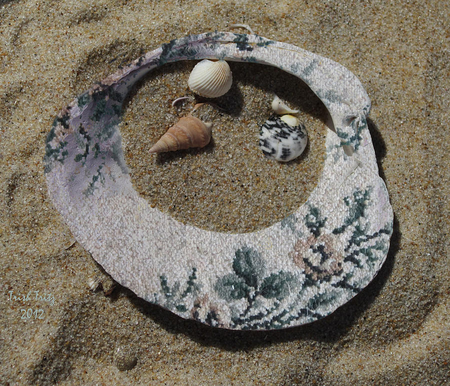 Sand On A Half Shell Photograph by Trish Tritz