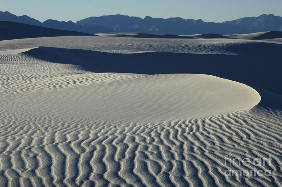 Sand Patterns Photograph by Vivian Christopher