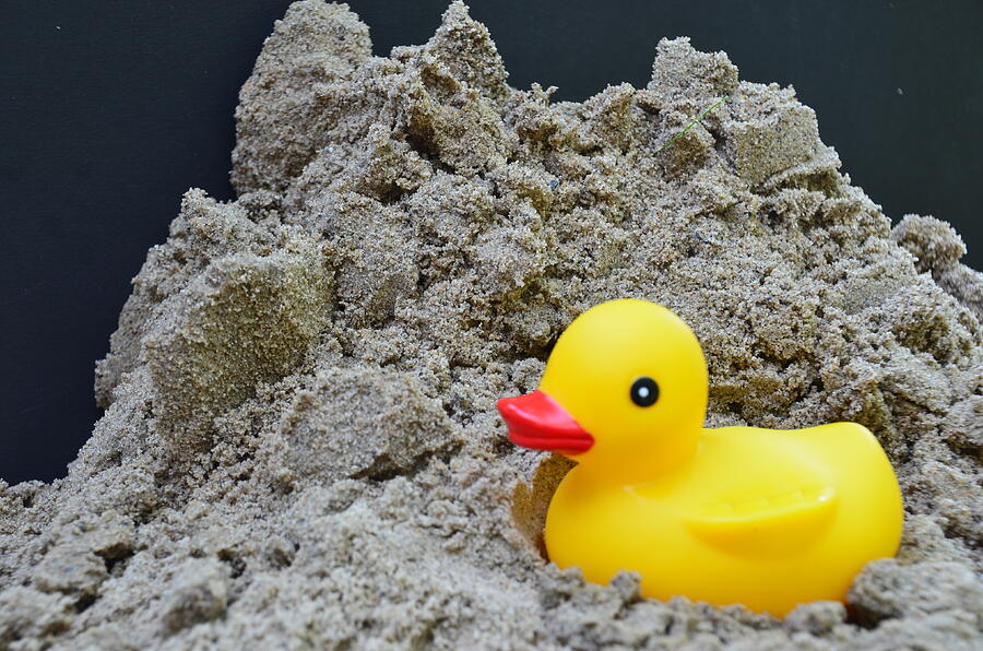 Sand Photograph - Sand Plle and Ducky by Randy J Heath