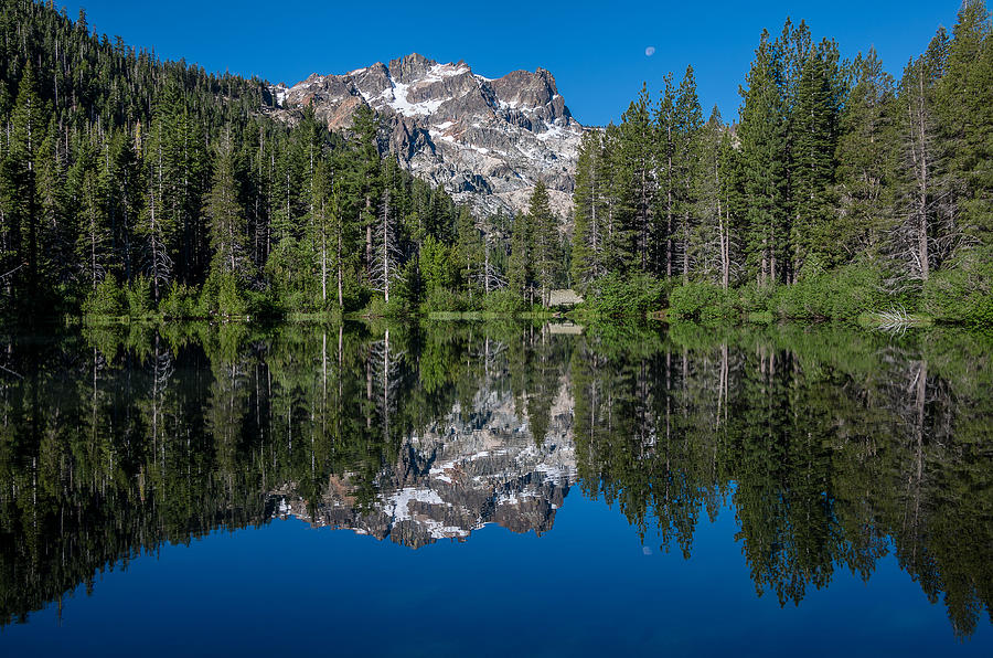 Sand Pond Photograph by Greg Nyquist