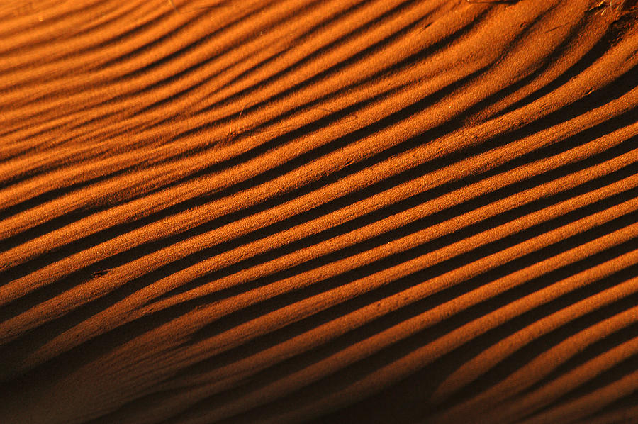 Sand ripple Photograph by Alistair Lyne