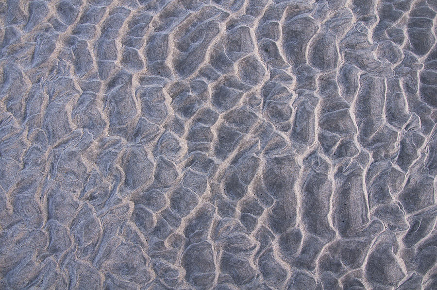 Sand Ripples Black and White Photograph by Glenn Gordon