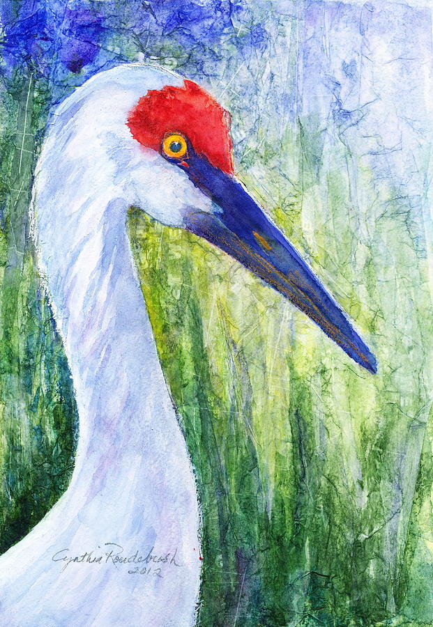 Bird Painting - Sandhill Crane by Cynthia Roudebush