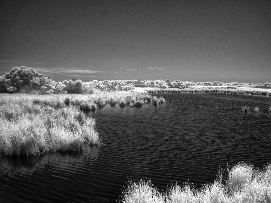 Sandpiper Pond - Infrared Photograph by Bill Barber