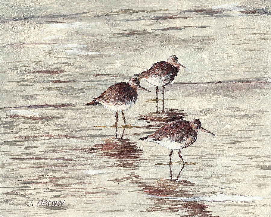 Sandpipers Painting by John Brown - Fine Art America