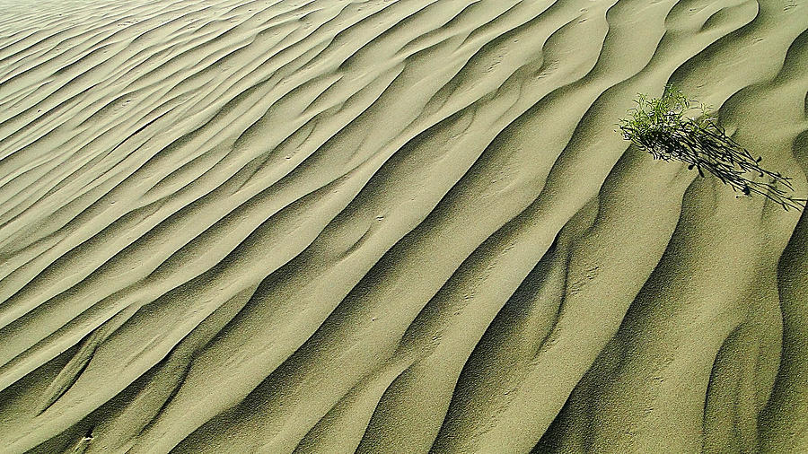Sands of  Time Photograph by Blair Wainman